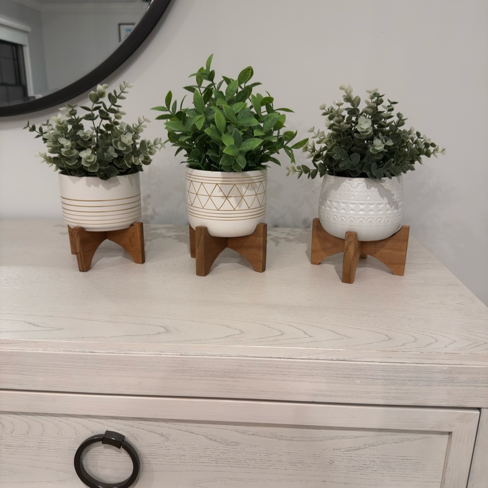 Set of 3 White gold and Brown decorative plants